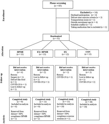 The Effects of a High-Protein Dairy Milk Beverage With or Without Progressive Resistance Training on Fat-Free Mass, Skeletal Muscle Strength and Power, and Functional Performance in Healthy Active Older Adults: A 12-Week Randomized Controlled Trial